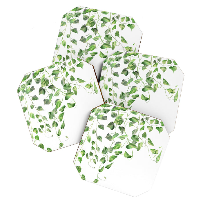 Golden Pothos - Ivy Coaster Gallery Image 1