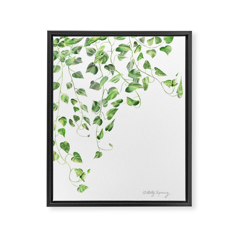 Golden Pothos - Ivy Framed Canvas Print Gallery Image 8