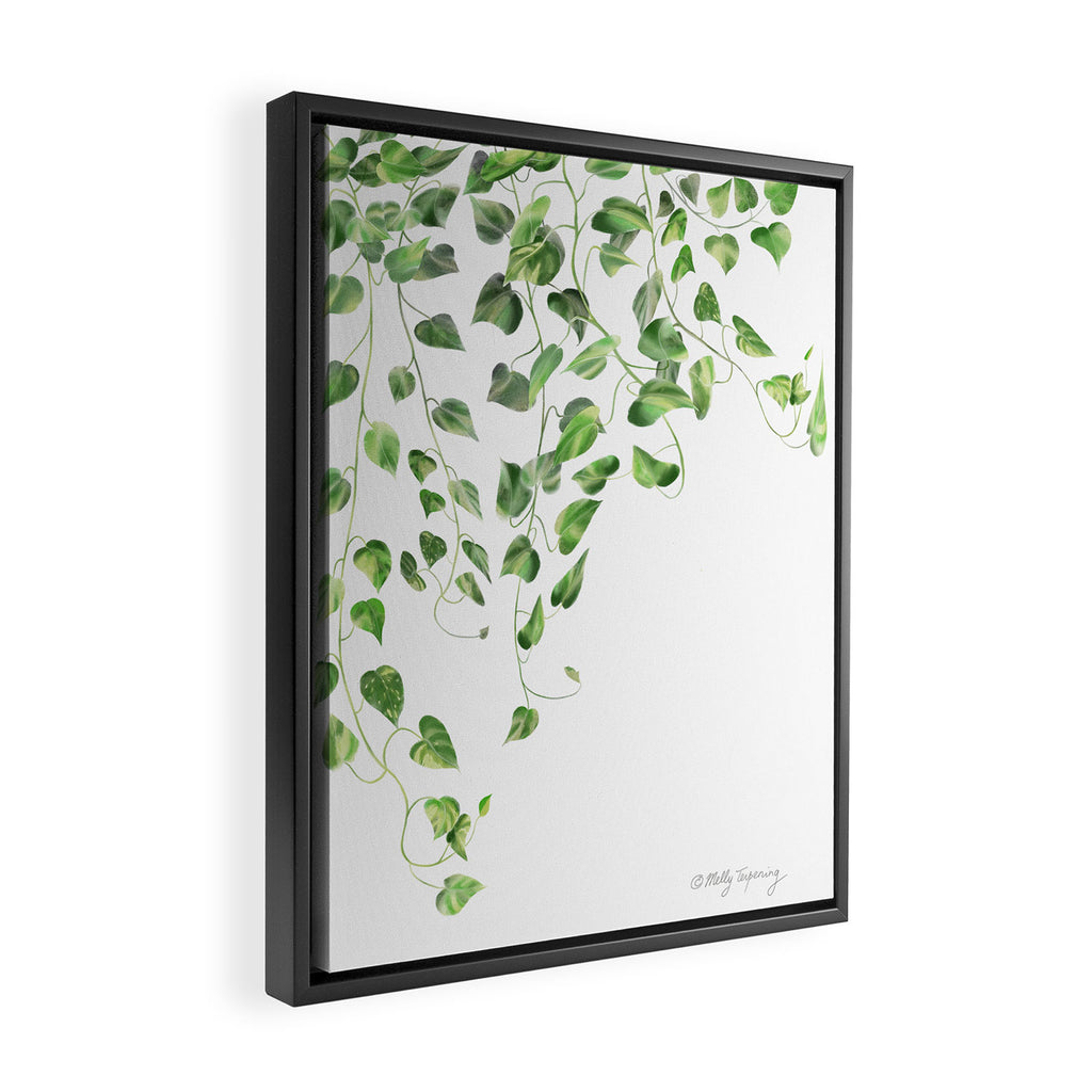 Golden Pothos - Ivy Framed Canvas Print Gallery Image 2