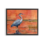 Great Blue Heron in Marsh Framed Canvas Print Gallery Image 2