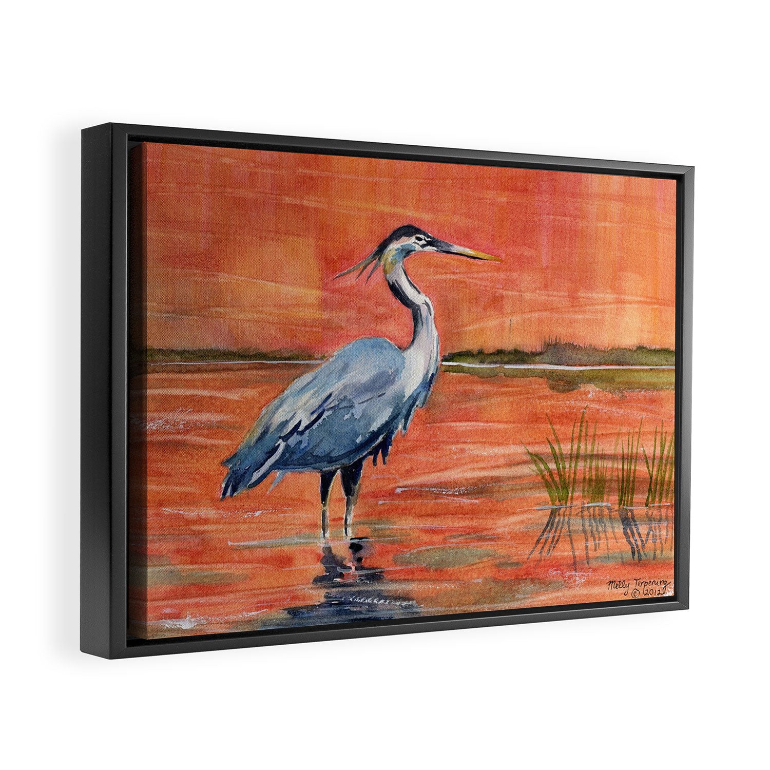 Great Blue Heron in Marsh Framed Canvas Print Gallery Image 6