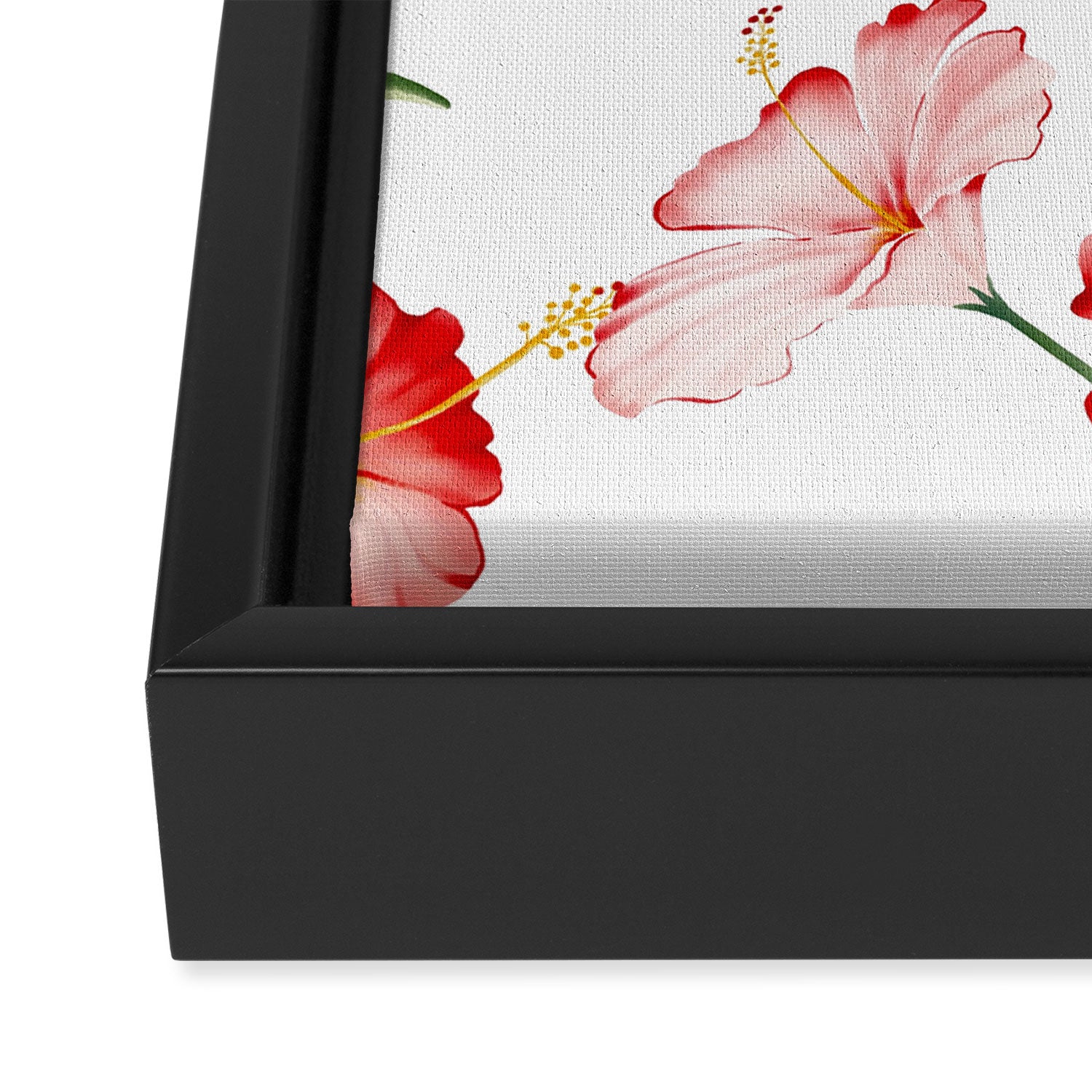 Hibiscus in White Framed Canvas Print Gallery Image 3