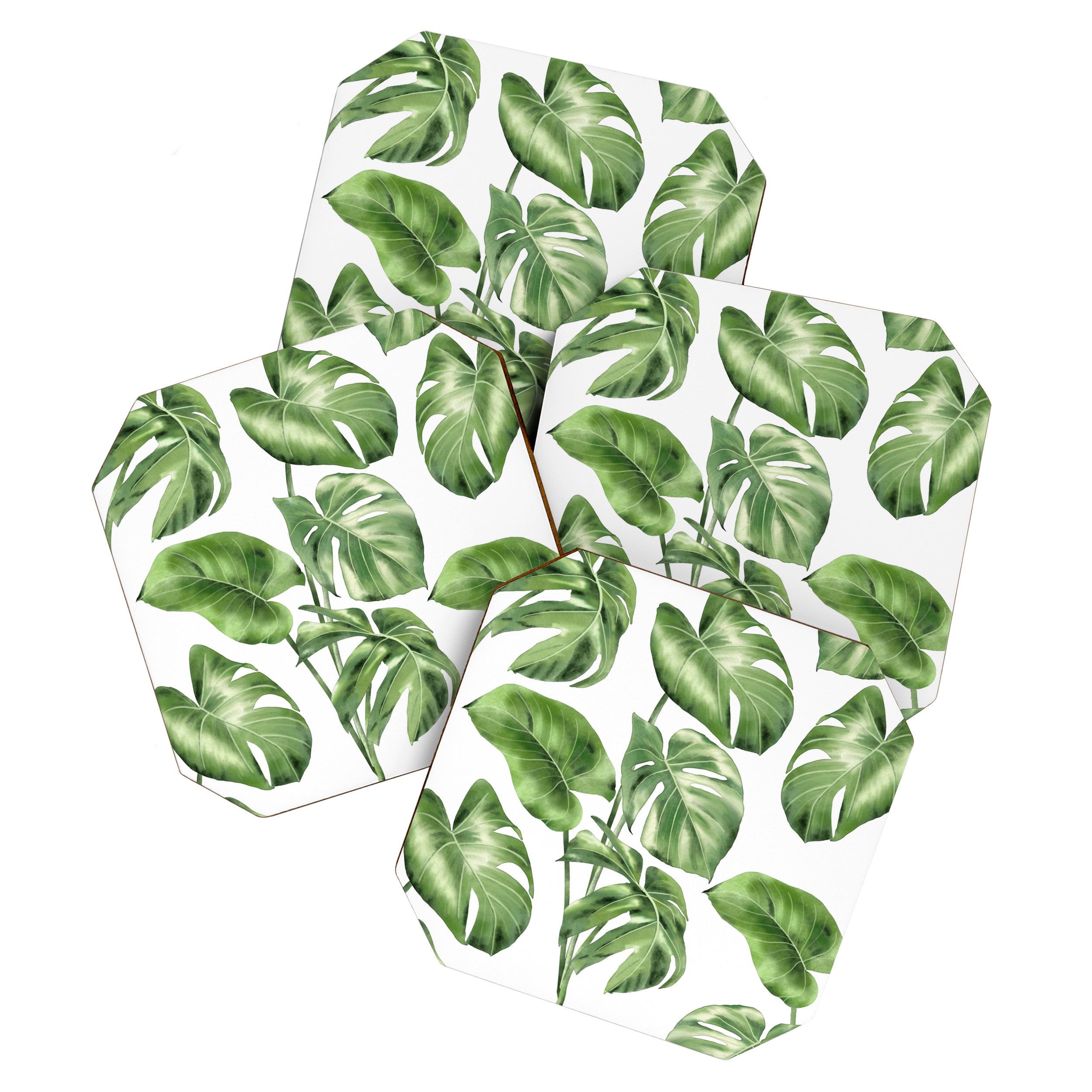 Large Monstera  Coaster Gallery Image 1