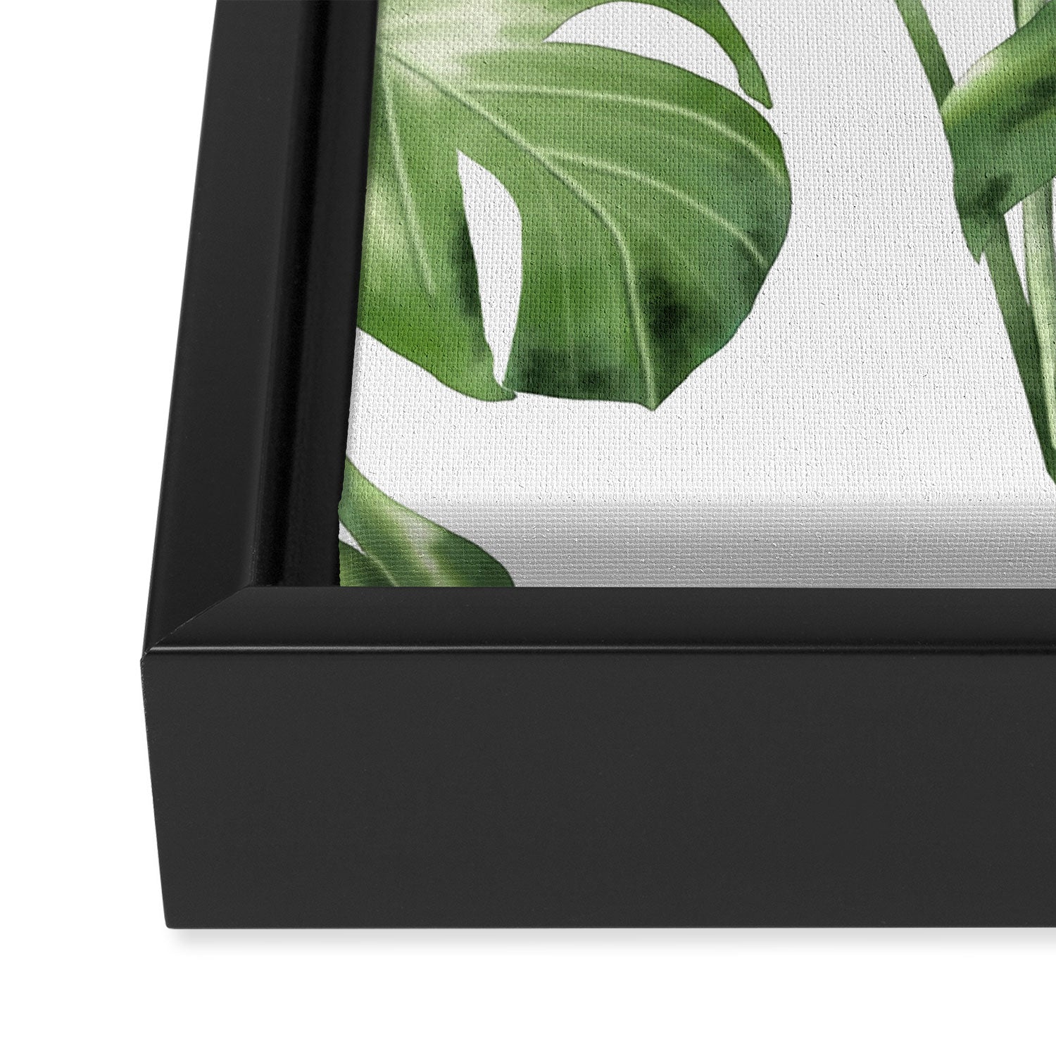 Large Monstera  Framed Canvas Print Gallery Image 3