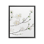 Magnolias  Framed Canvas Print Gallery Image 8