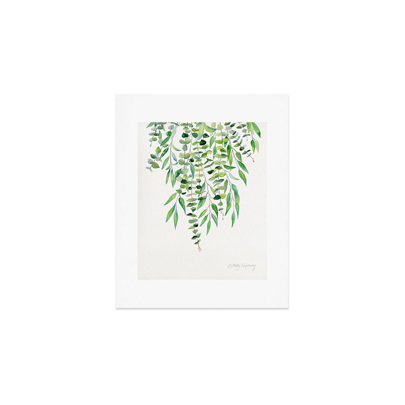 Mixed Eucalyptus  Art Print Gallery Image 1