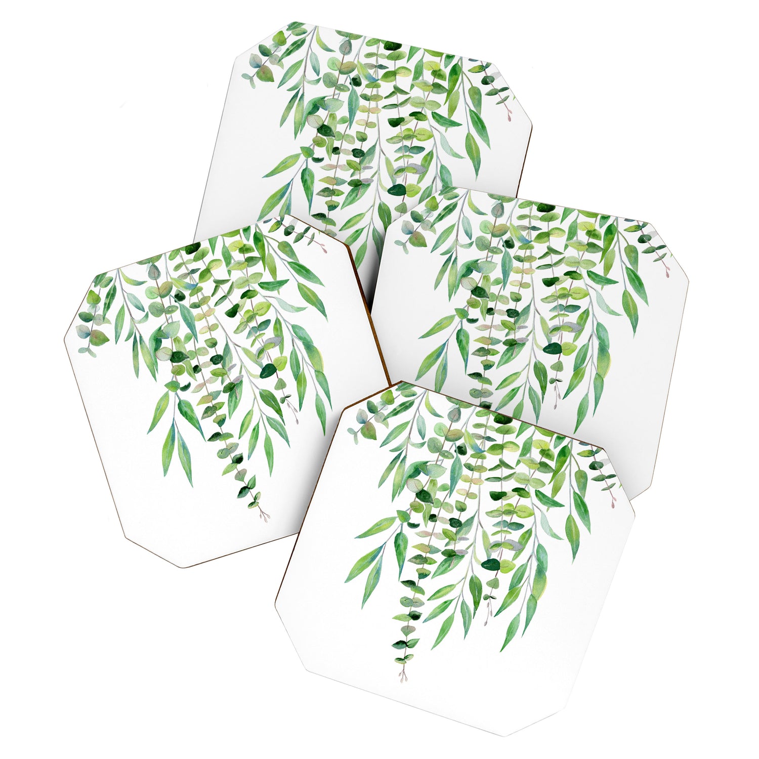 Mixed Eucalyptus  Coaster Gallery Image 1