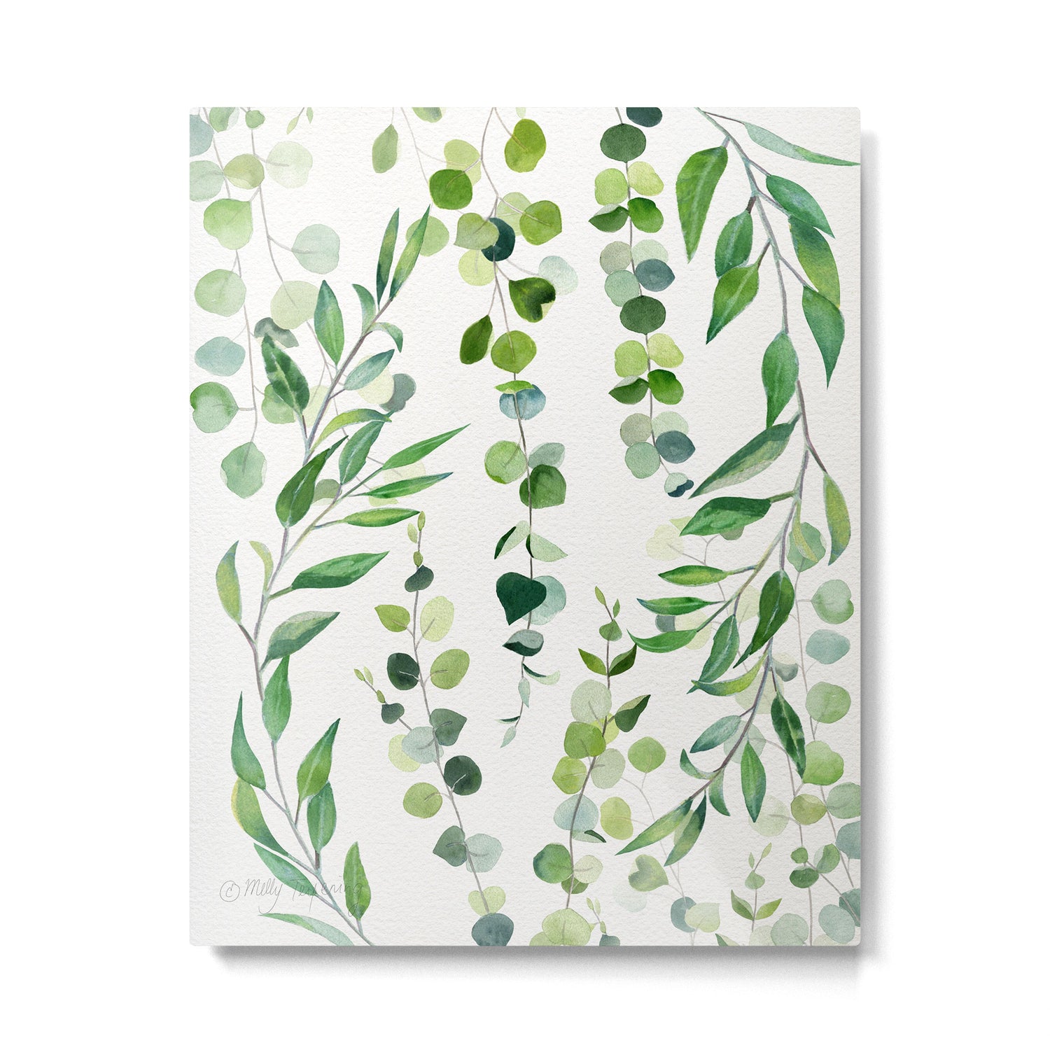Nature Green Eucalyptus Leaves  Metal Print Gallery Image 4