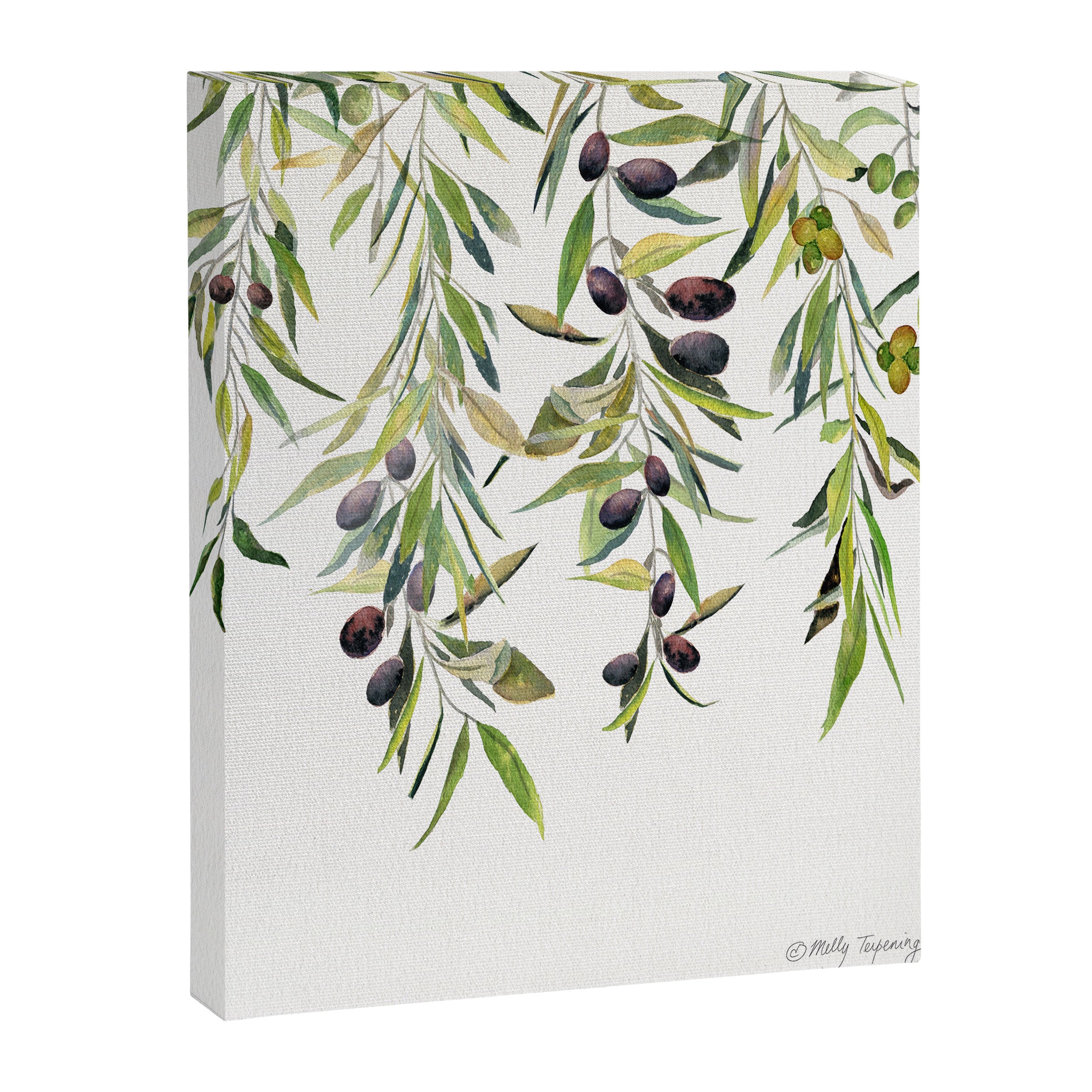 Olive Branch Watercolor  Canvas Print Gallery Image 6
