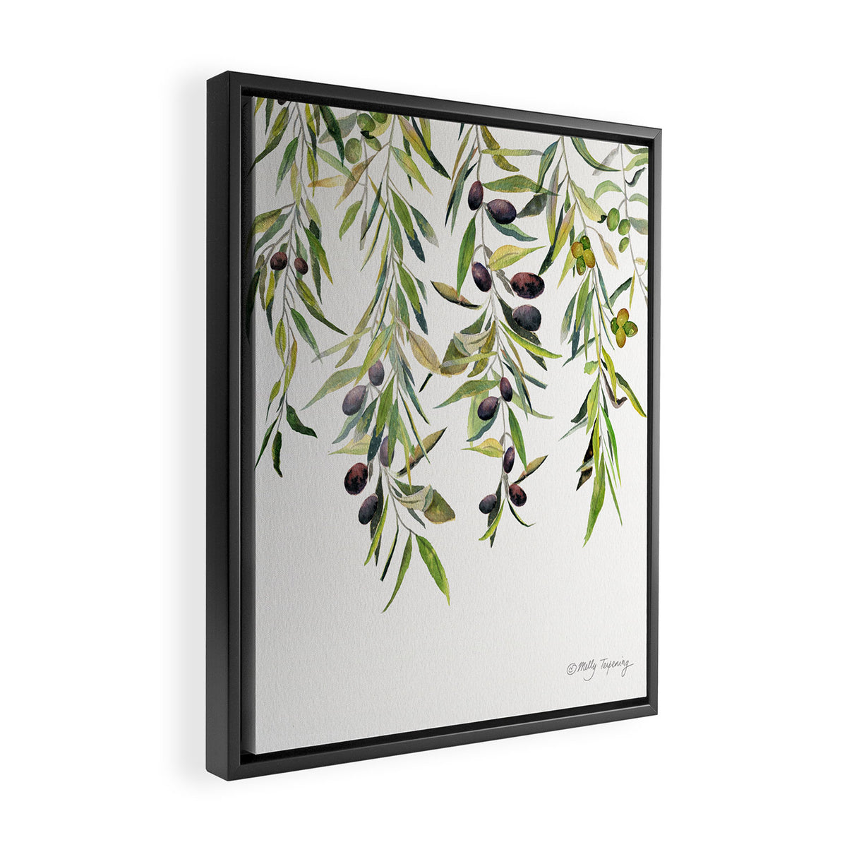 Olive Branch Watercolor  Framed Canvas Print Gallery Image 2