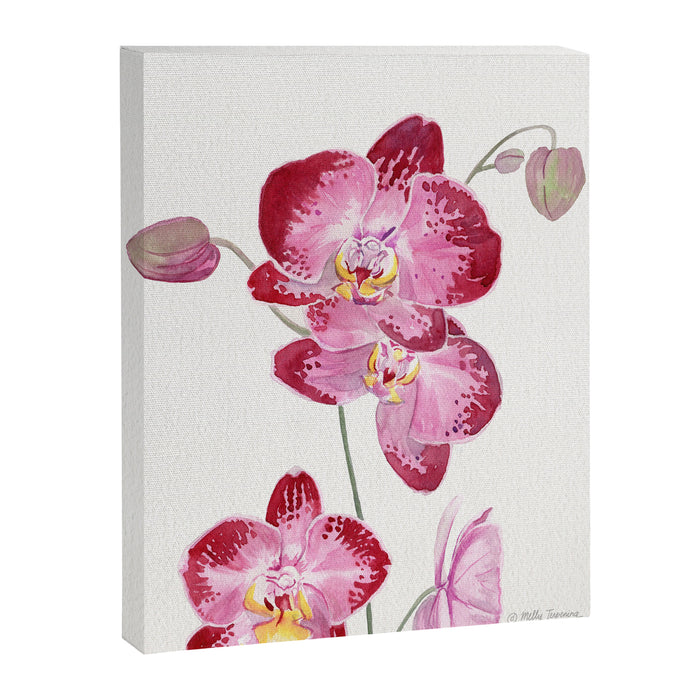 Orchid 2 Canvas Print Gallery Image 1
