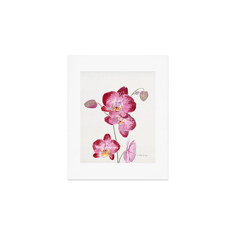 Orchid 2 Art Print Gallery Image 1