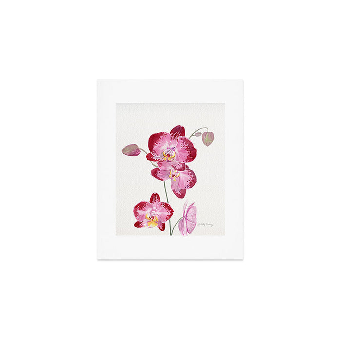 Orchid 2 Art Print Gallery Image 1