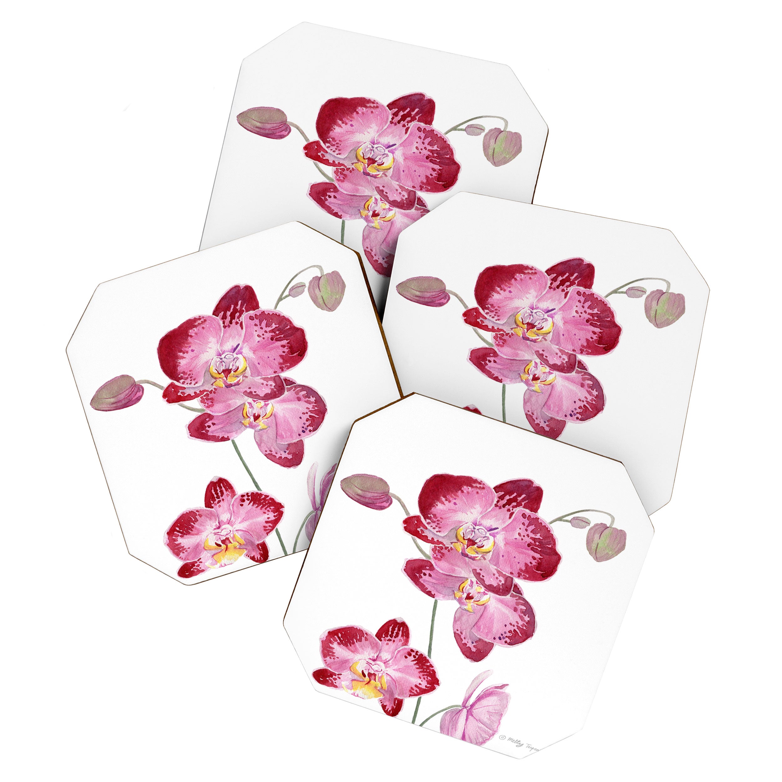 Orchid 2 Coaster Gallery Image 1