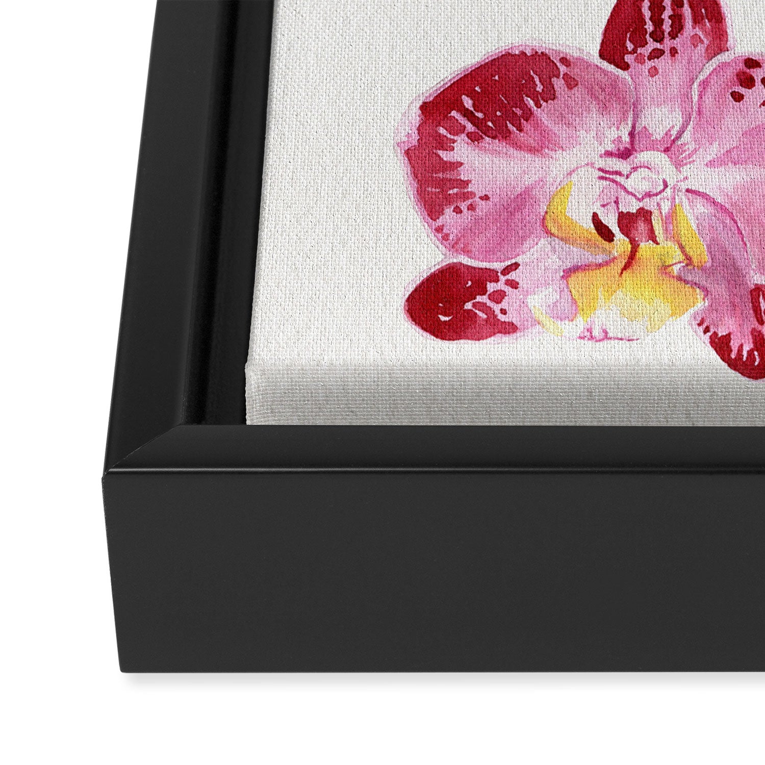 Orchid 2 Framed Canvas Print Gallery Image 3