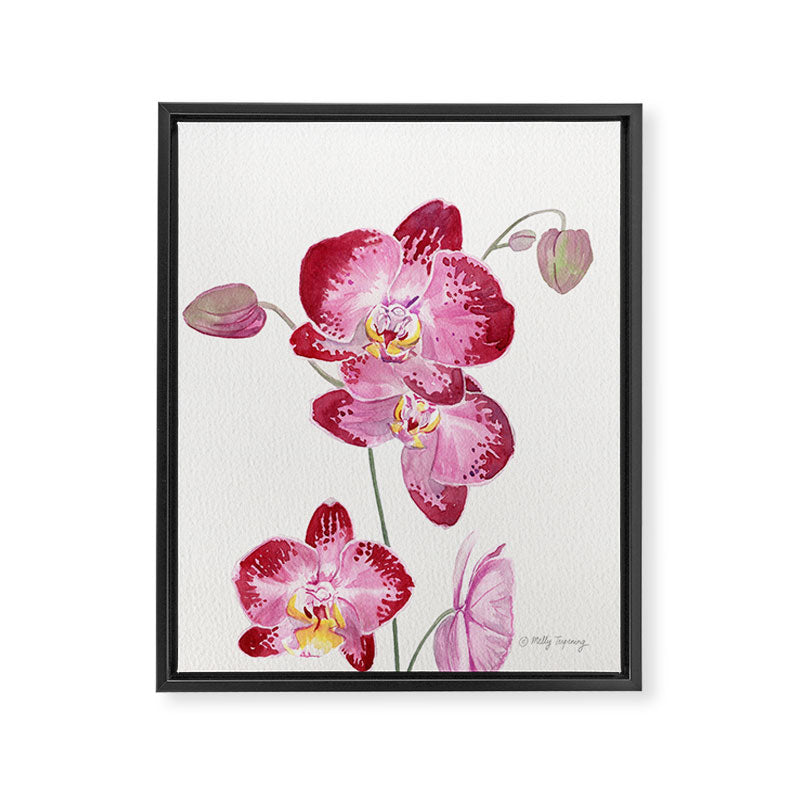 Orchid 2 Framed Canvas Print Gallery Image 6