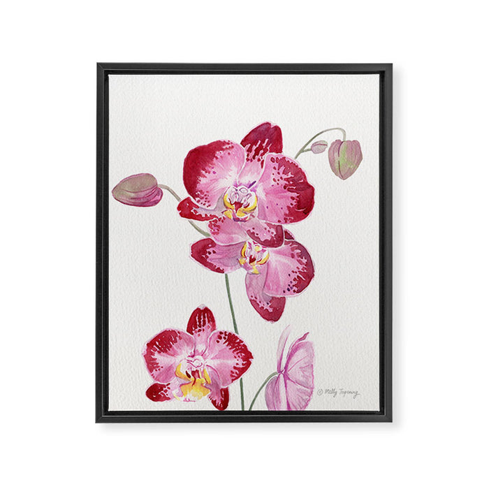 Orchid 2 Framed Canvas Print Gallery Image 1