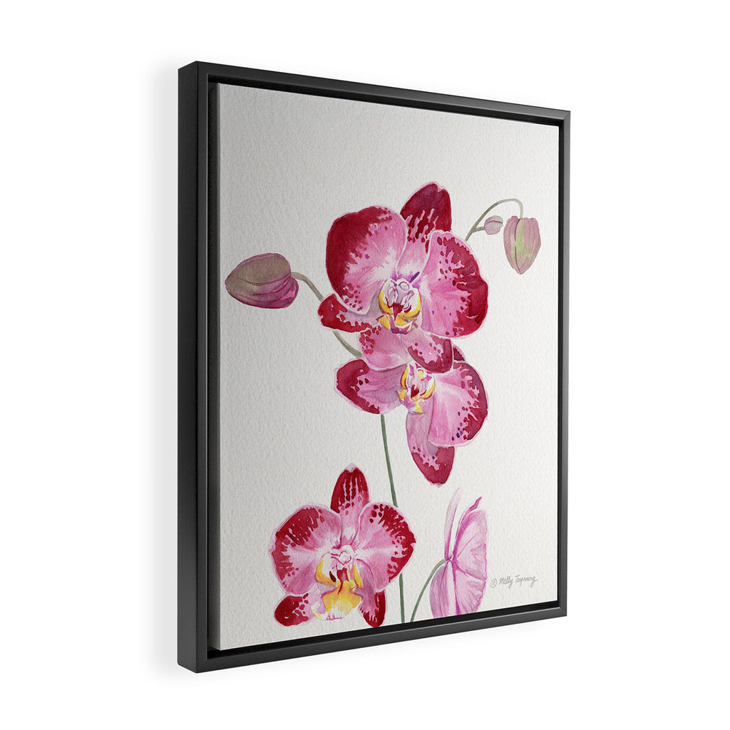 Orchid 2 Framed Canvas Print Gallery Image 2