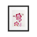 Orchid 2 Framed Art Print Gallery Image 4