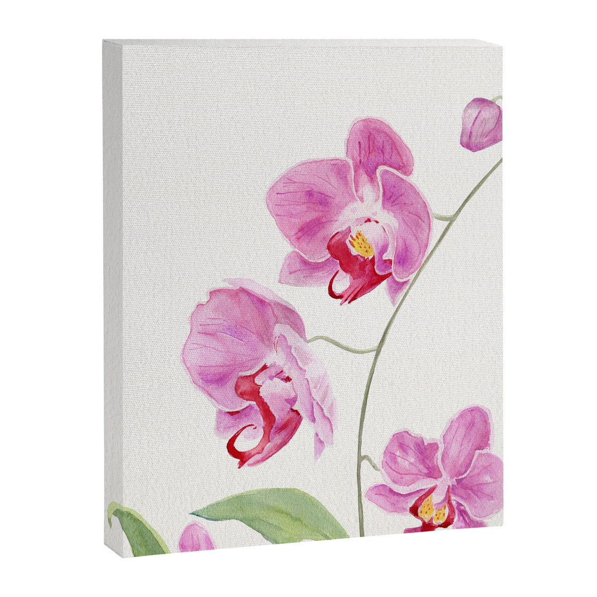 Orchid Canvas Print Gallery Image 8