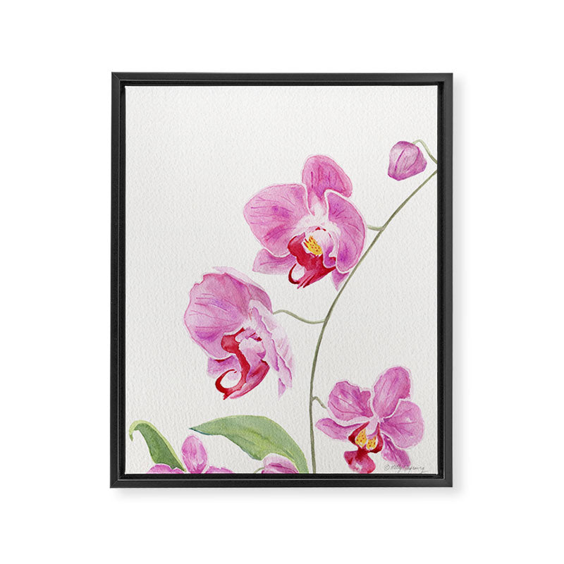 Orchid Framed Canvas Print Gallery Image 8