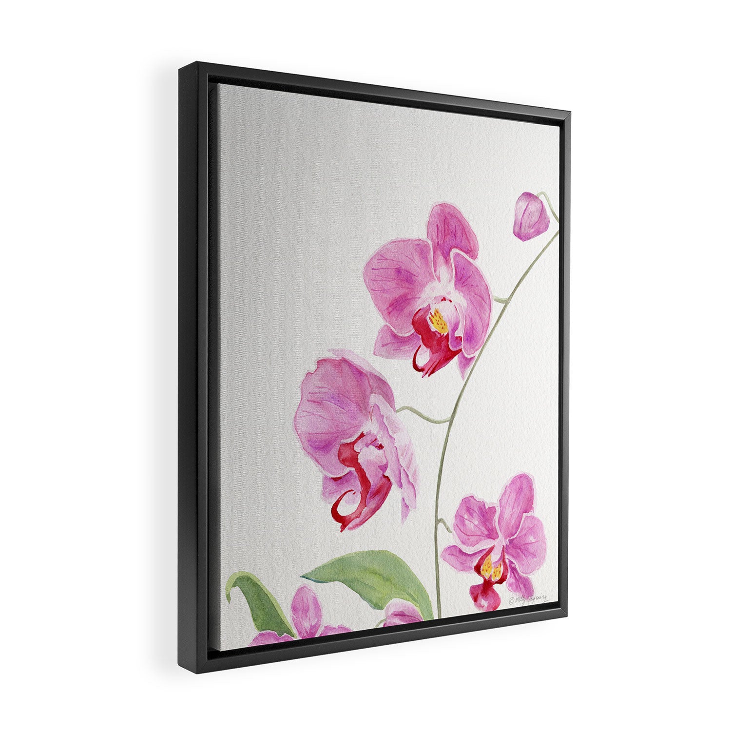 Orchid Framed Canvas Print Gallery Image 2