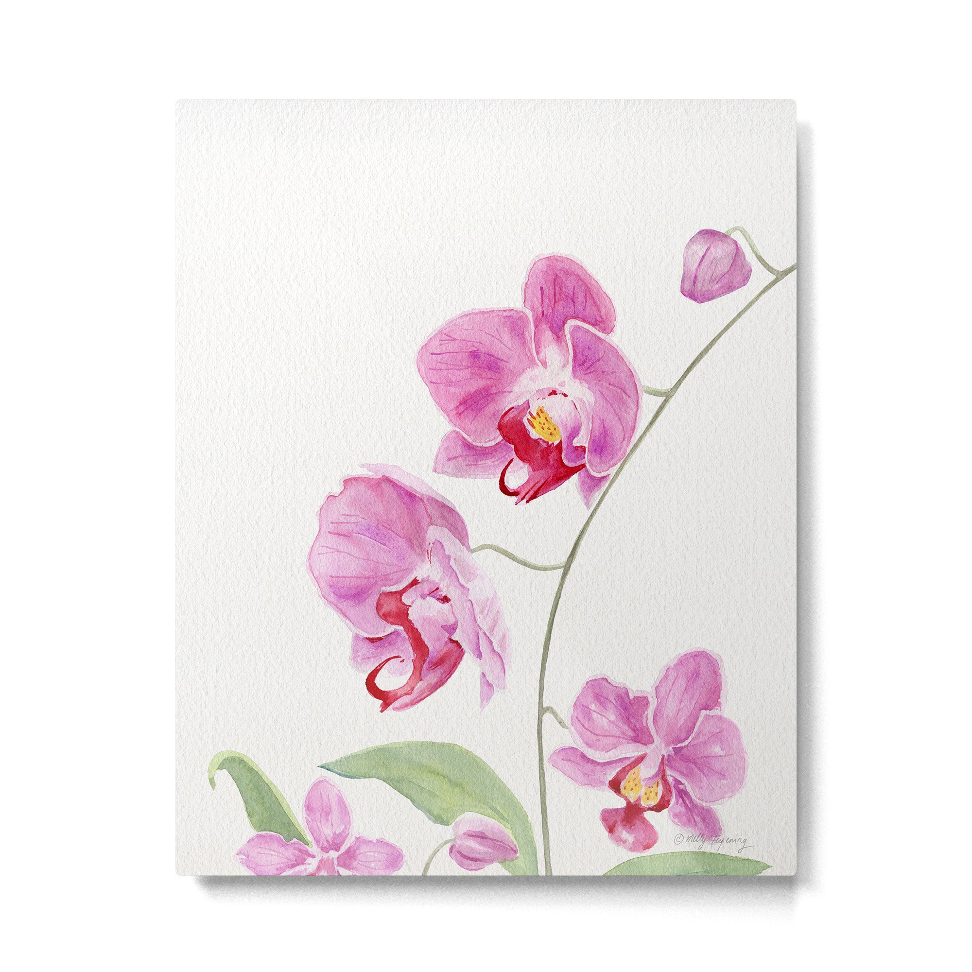 Orchid Metal Print Gallery Image 6