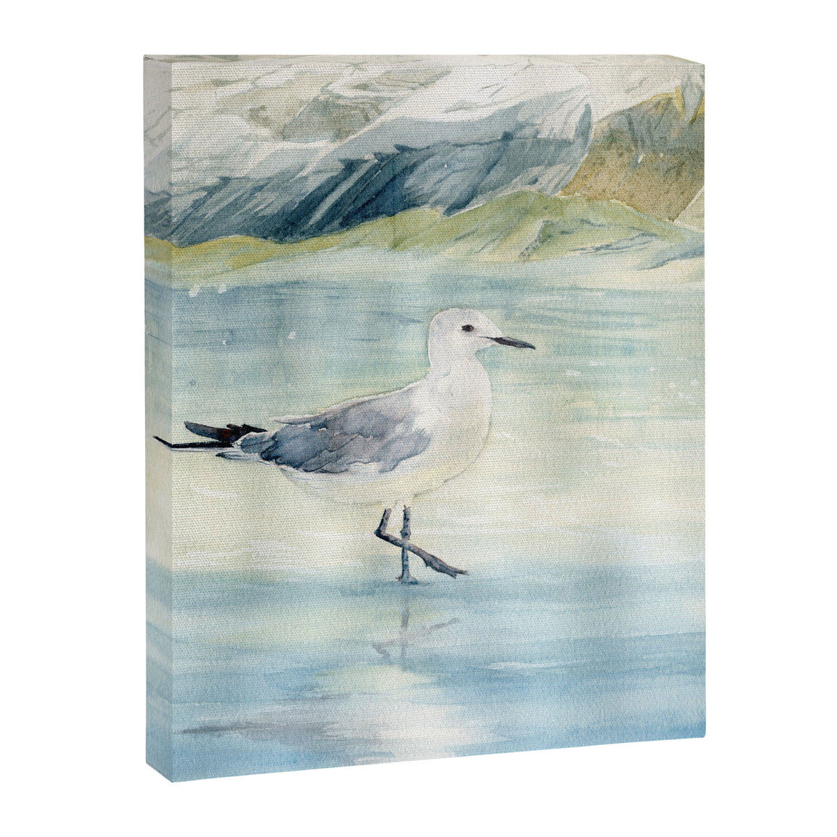 Seagull on the beach Canvas Print Gallery Image 8