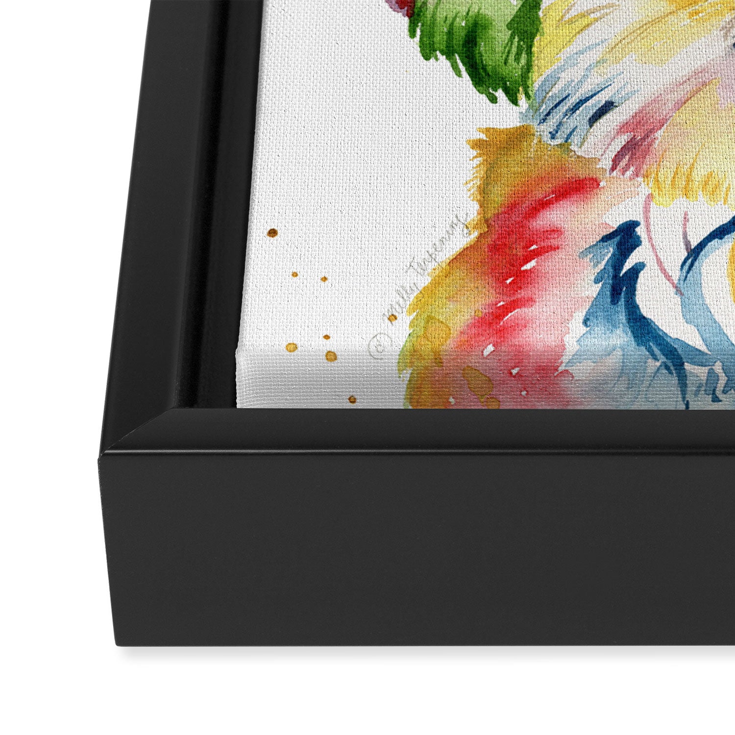 Shih Tzu Watercolor  Framed Canvas Print Gallery Image 3