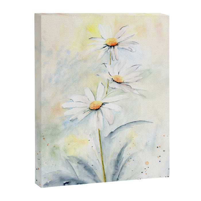 White Daisies Canvas Print Gallery Image 1