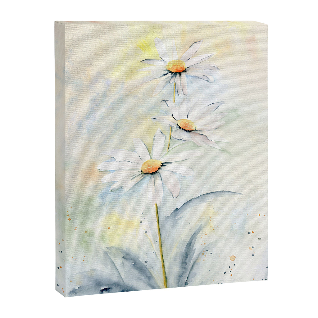 White Daisies Canvas Print Gallery Image 8