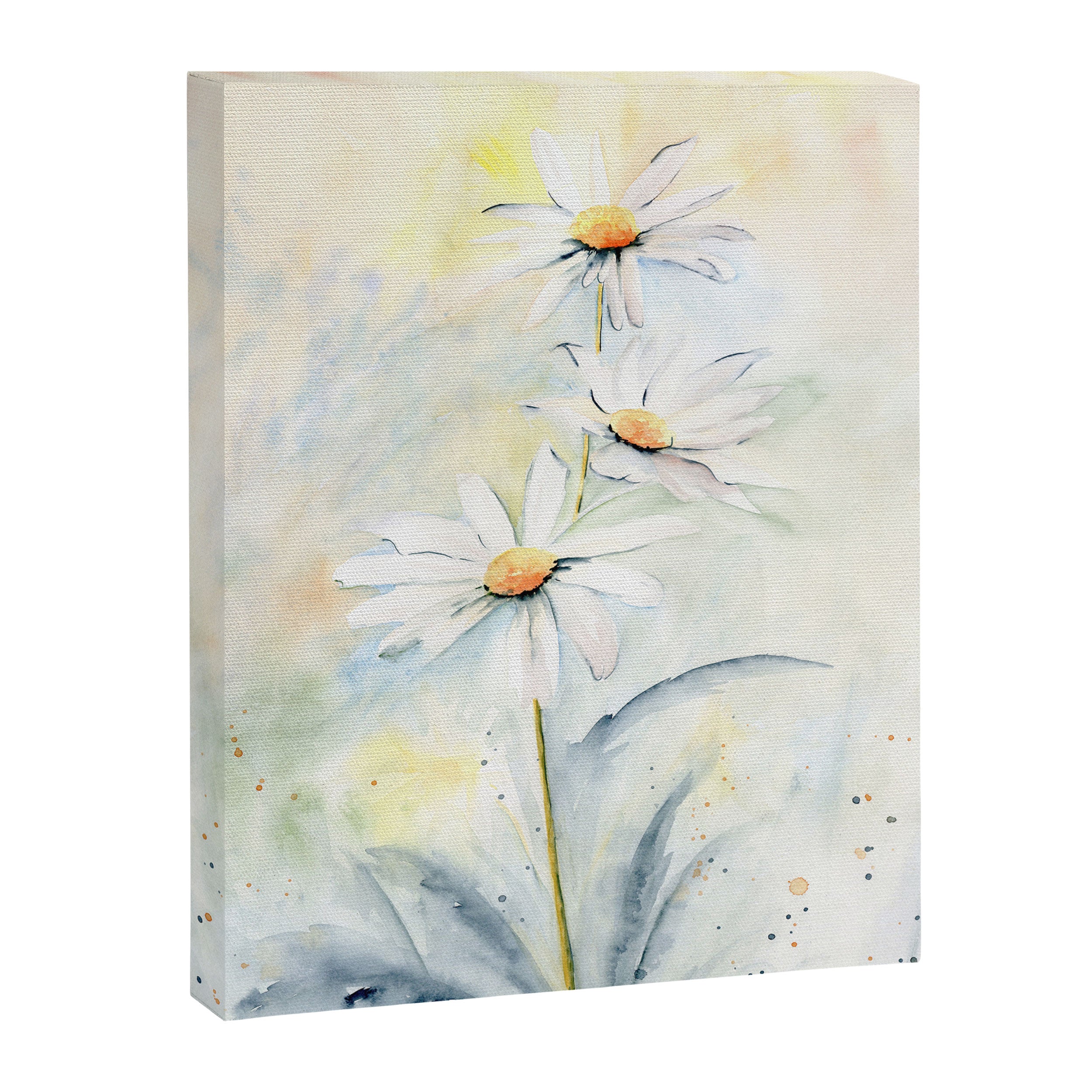 White Daisies Canvas Print Gallery Image 8