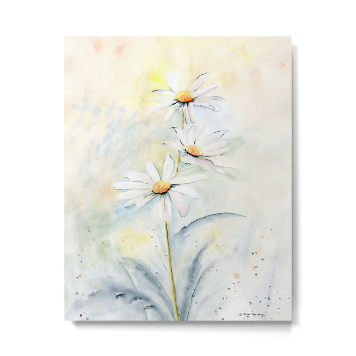 White Daisies Metal Print Gallery Image 1
