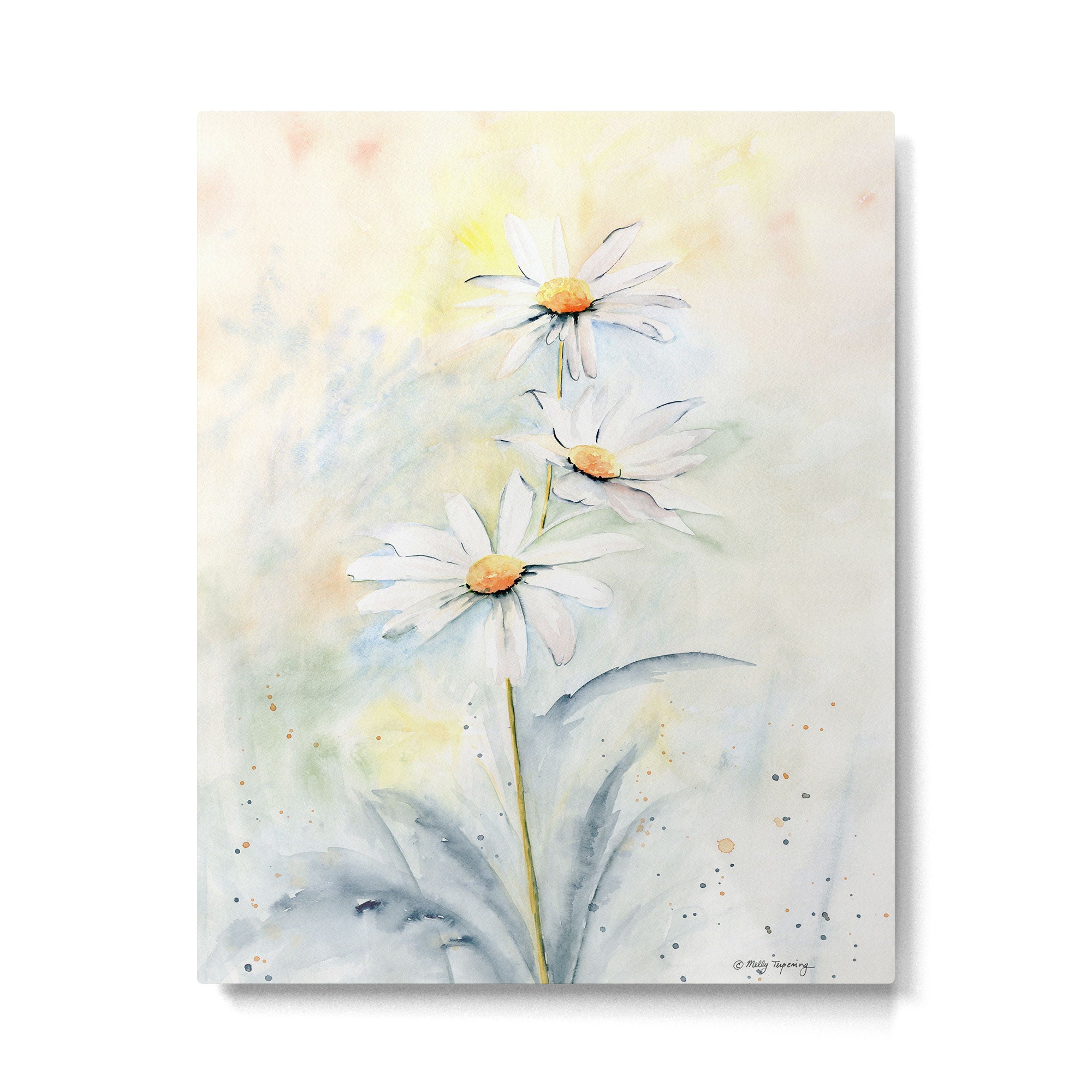 White Daisies Metal Print Gallery Image 6