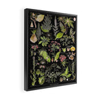 Adolphe Millot - Plantes dangereuses A (dangerous plants A) Framed Canvas Print Gallery Image 2