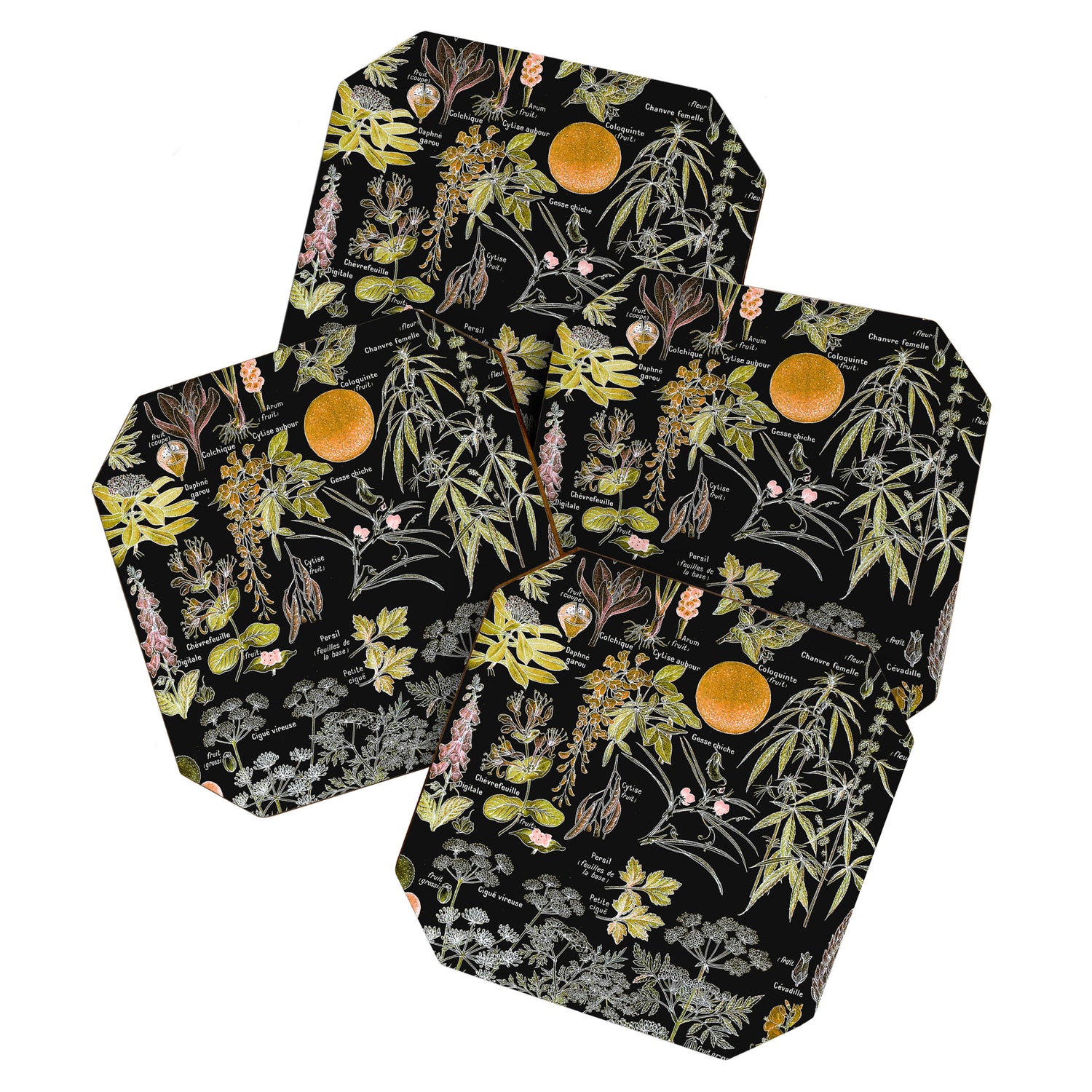 Adolphe Millot - Plantes dangereuses B (dangerous plants B) Coaster Gallery Image 1