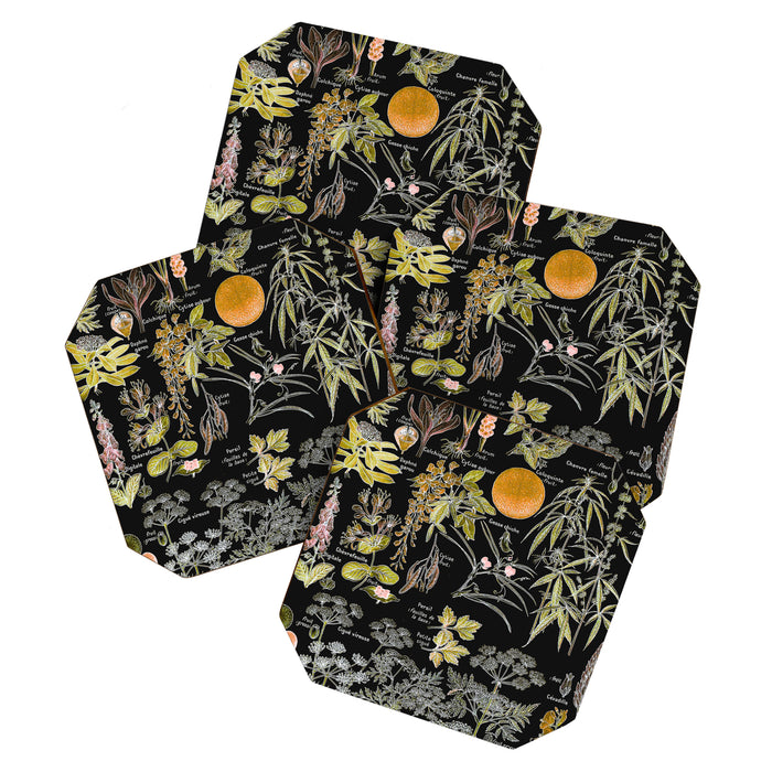 Adolphe Millot - Plantes dangereuses B (dangerous plants B) Coaster Gallery Image 1