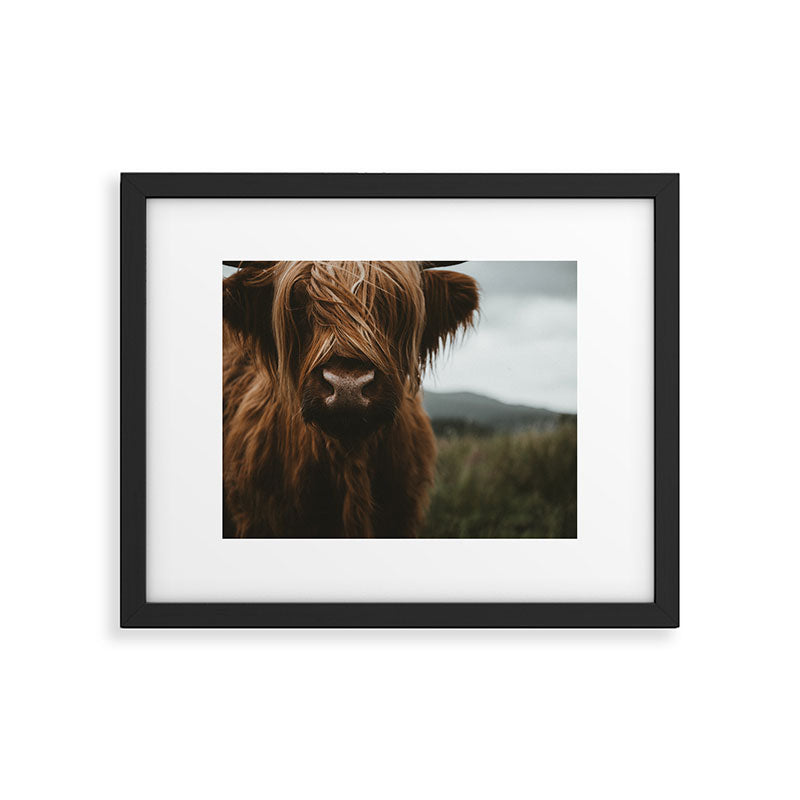 Animal Photography - Scottish Highland Cattle Framed Art Print Gallery Image 4