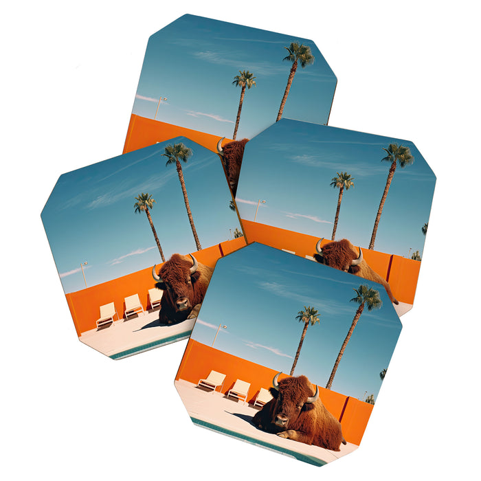 Bison By The Pool In Palm Springs Coaster Gallery Image 1