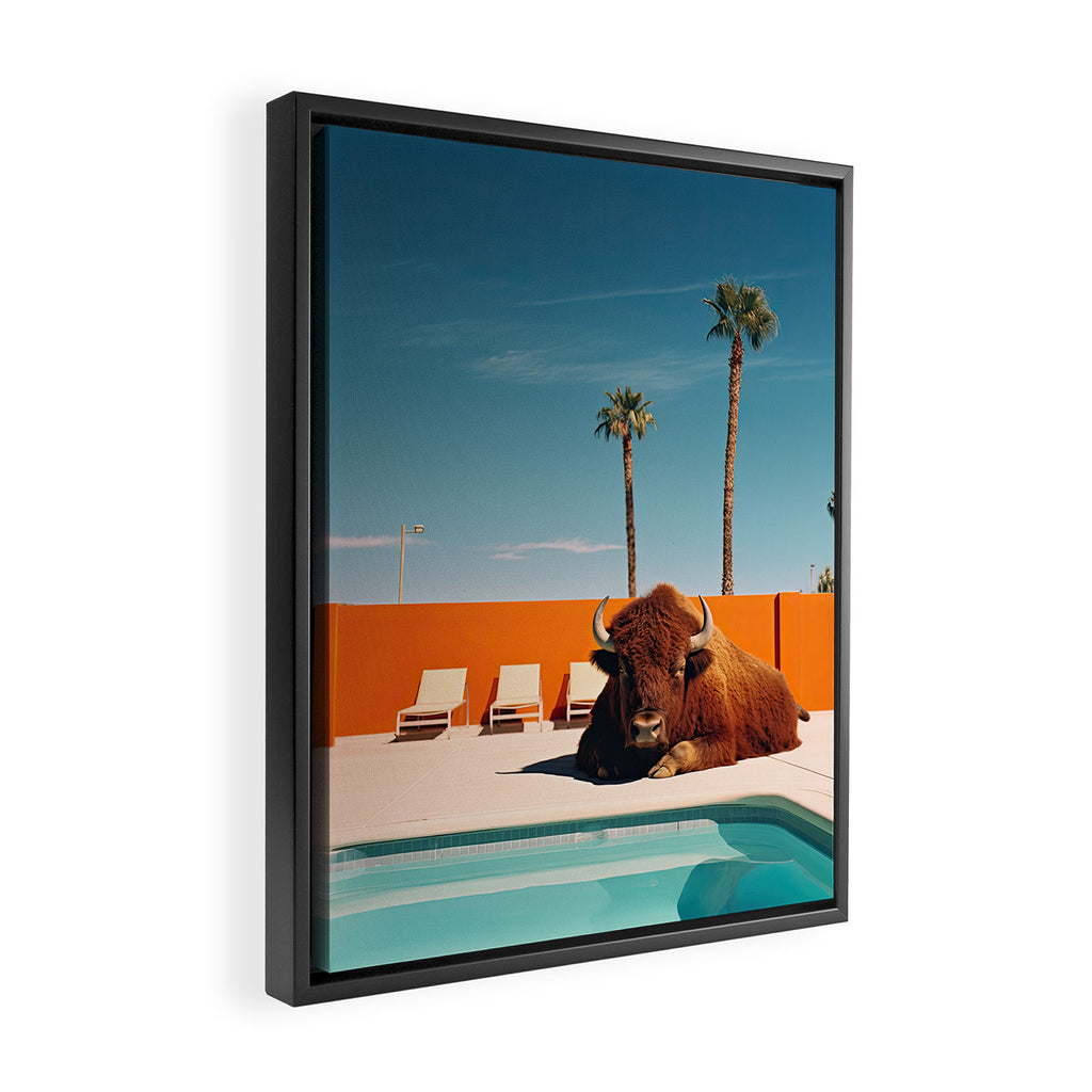 Bison By The Pool In Palm Springs Framed Canvas Print Gallery Image 2
