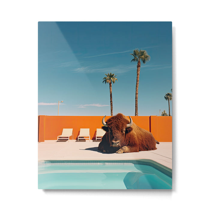 Bison By The Pool In Palm Springs Metal Print Gallery Image 1