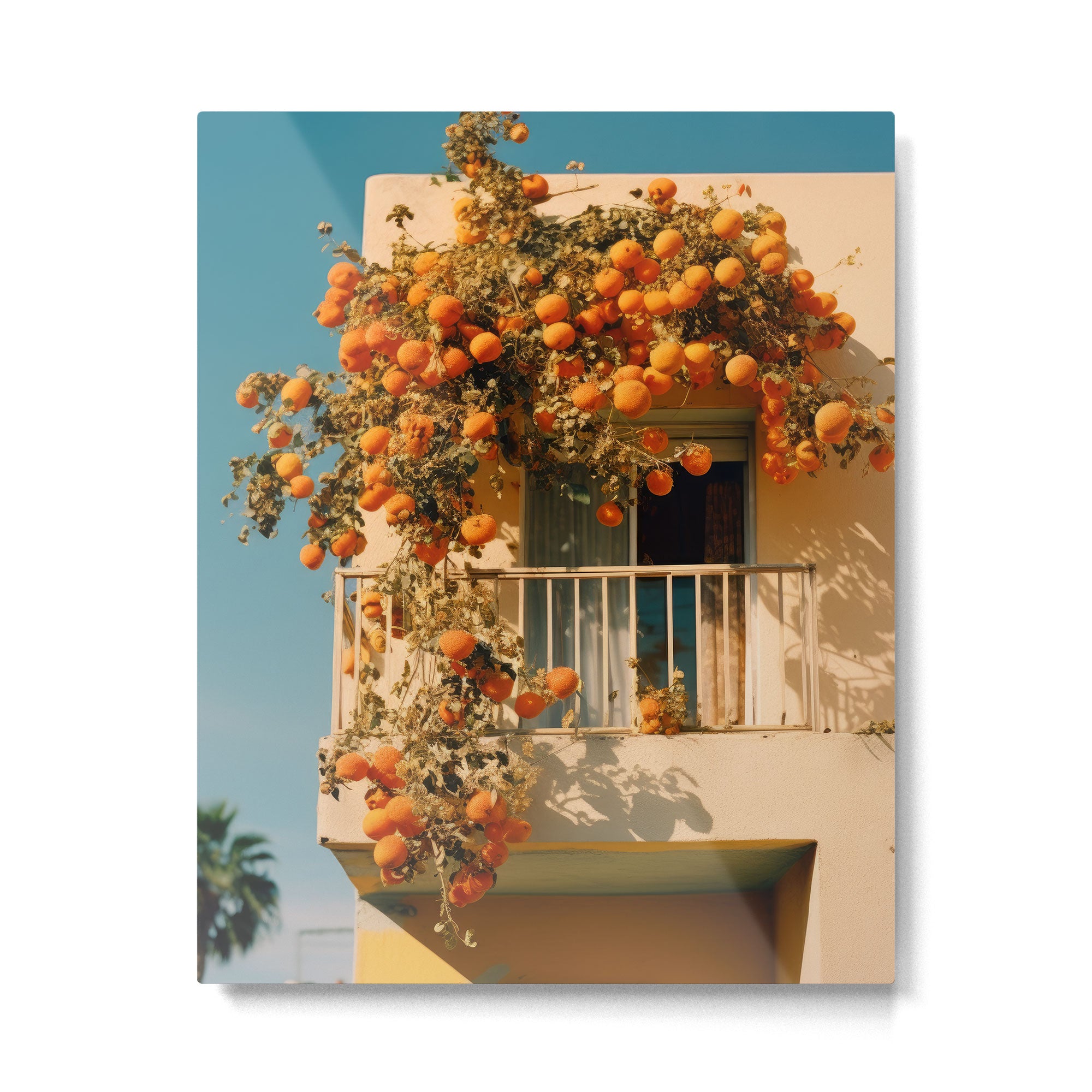 Californian Oranges in Summer Metal Print Gallery Image 4