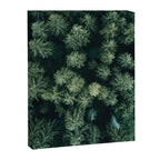 Forest from above - Landscape Photography Canvas Print Gallery Image 6