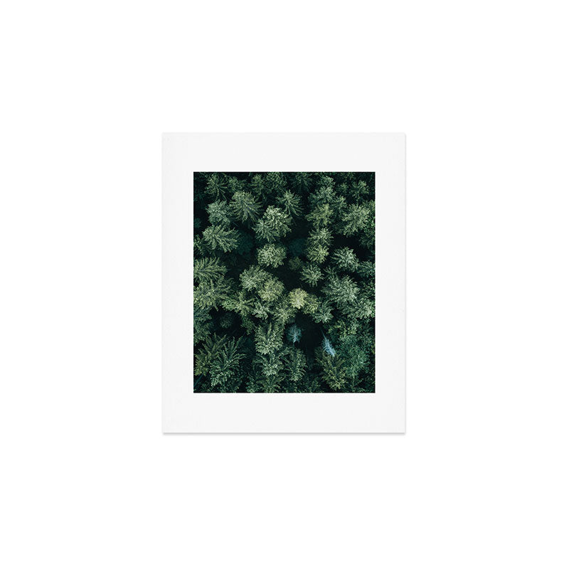 Forest from above - Landscape Photography Art Print Gallery Image 1