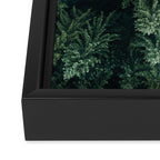 Forest from above - Landscape Photography Framed Canvas Print Gallery Image 3