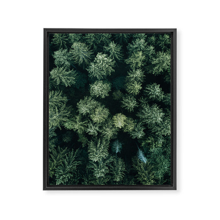 Forest from above - Landscape Photography Framed Canvas Print Gallery Image 1