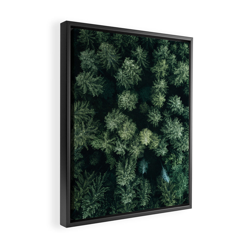 Forest from above - Landscape Photography Framed Canvas Print Gallery Image 2