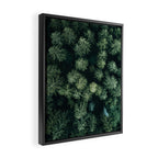 Forest from above - Landscape Photography Framed Canvas Print Gallery Image 2