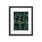 Forest from above - Landscape Photography Framed Art Print Gallery Image 4