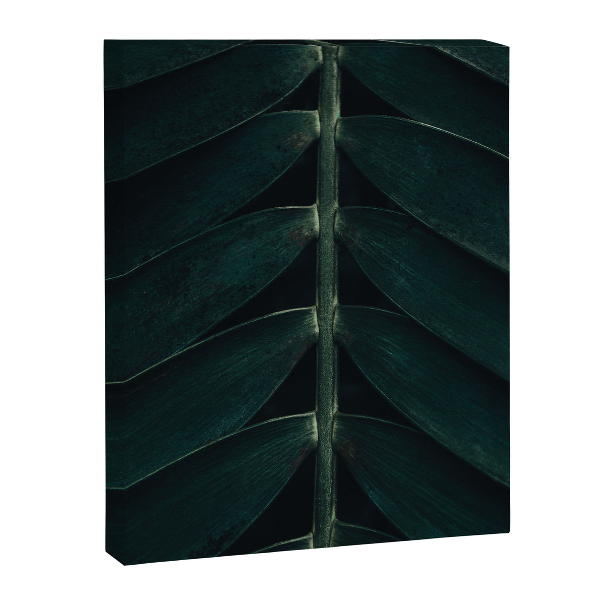 Green Leaves - Nature Photography Canvas Print Gallery Image 6
